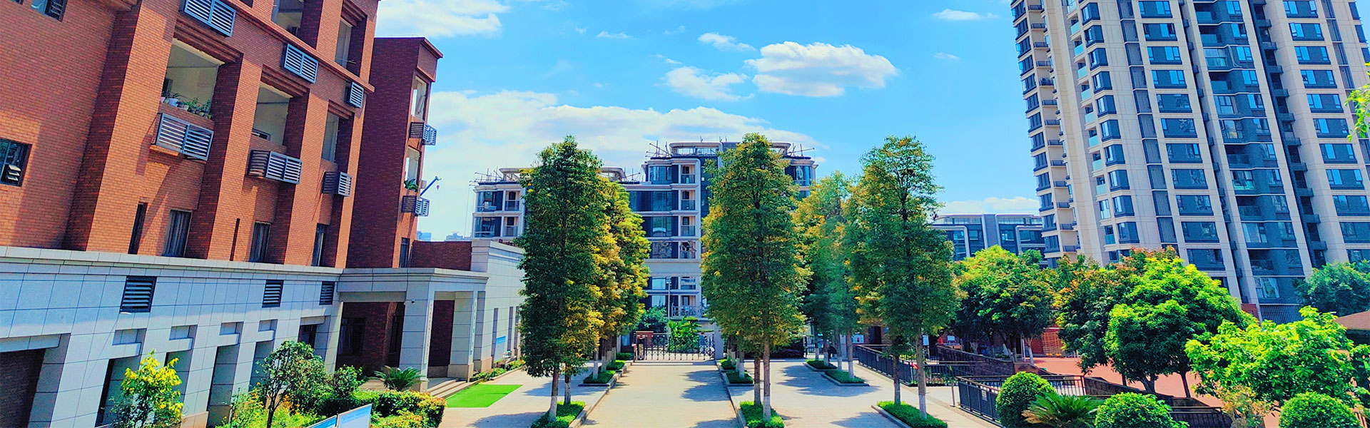 重庆计算机